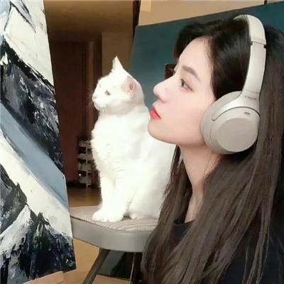 仇恨透视封面