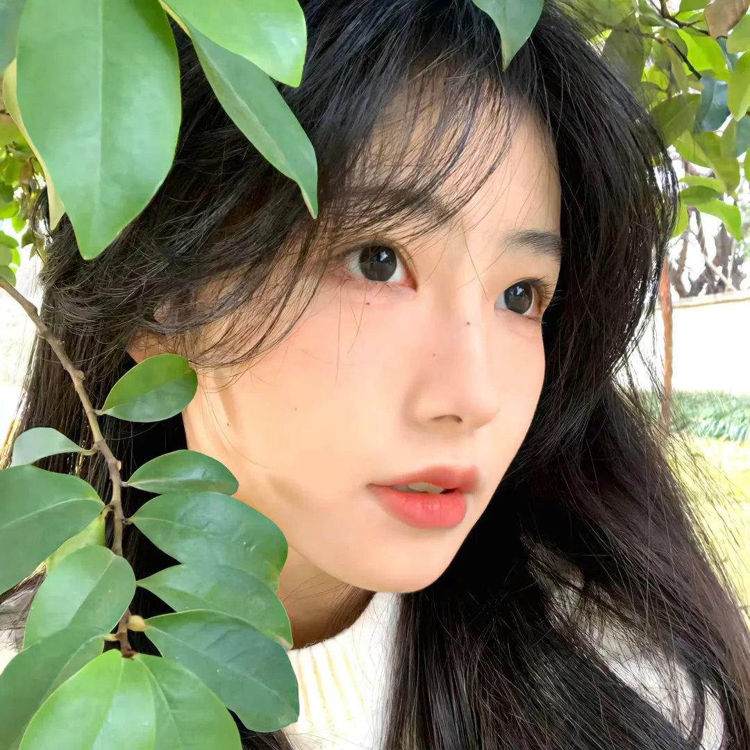乔蒂的烦恼封面